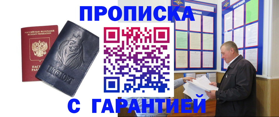 прописка поиск в Бердске